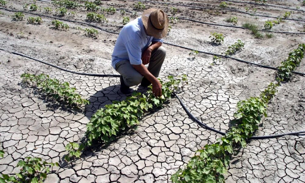 Σε απόγνωση οι αγρότες της Αττικής λόγω τής λειψυδρίας - Ζητούν άμεσα μέτρα